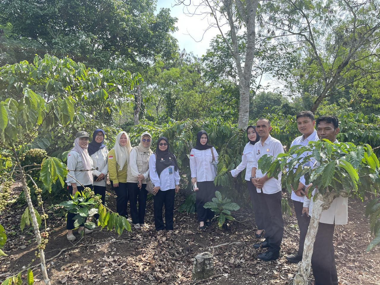 Kemenkum Sumsel Pantau Mutu Kopi Robusta Lahat sebagai Produk Indikasi Geografis Kemenkum Sumsel Pantau Mutu Kopi Robusta Lahat sebagai Produk Indikasi Geografis