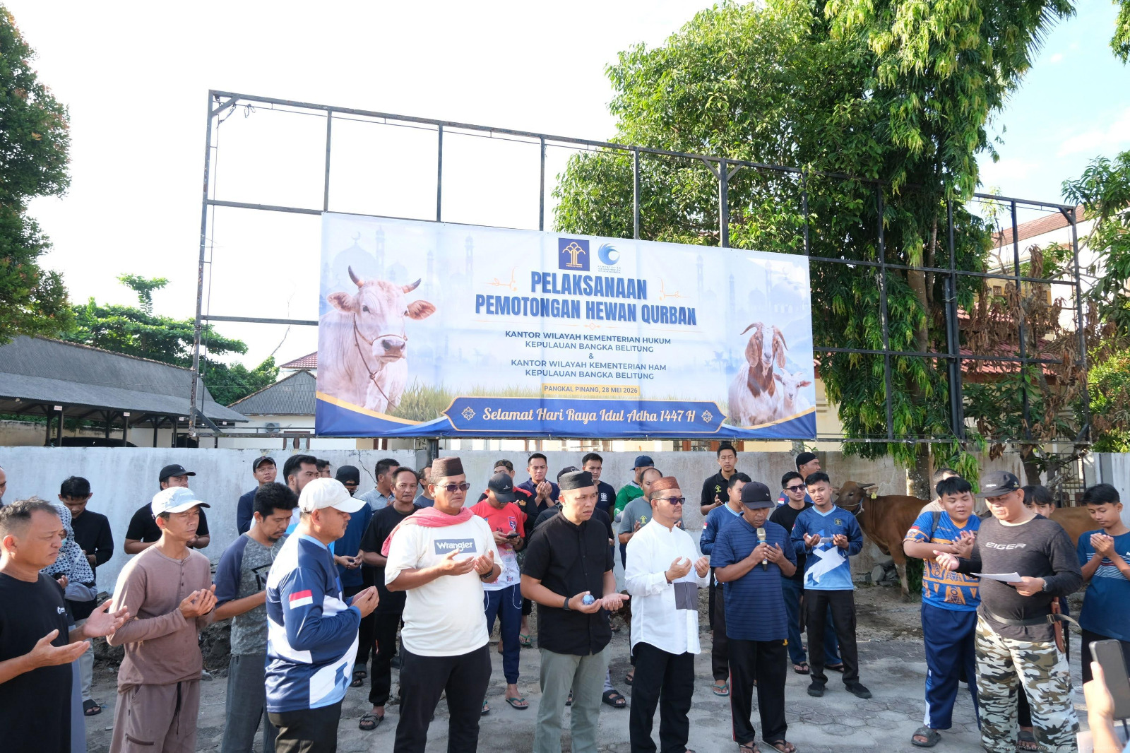Kanwil Kemenkum Babel Bersama Kanwil KemenHAM Babel Laksanakan Pemotongan Hewan Kurban
